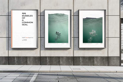 premium poster