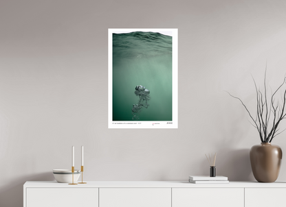 50 x 73,6 cm, test 1 bubble of a common seal 