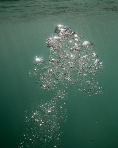 bubble 