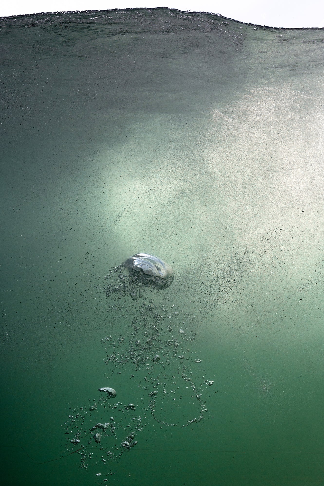 bubble N°1