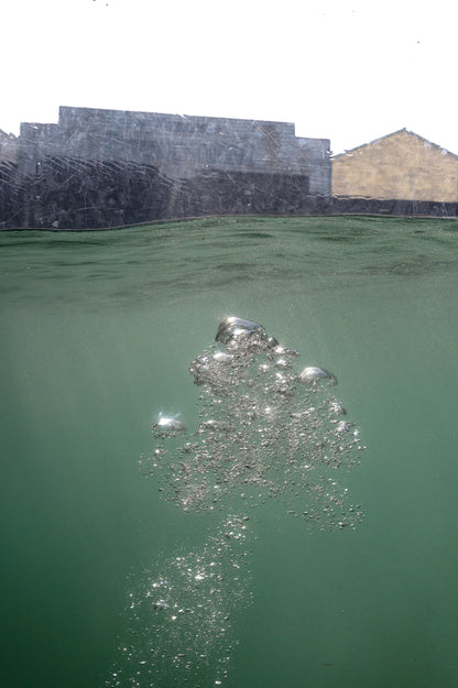 bubble N°6
