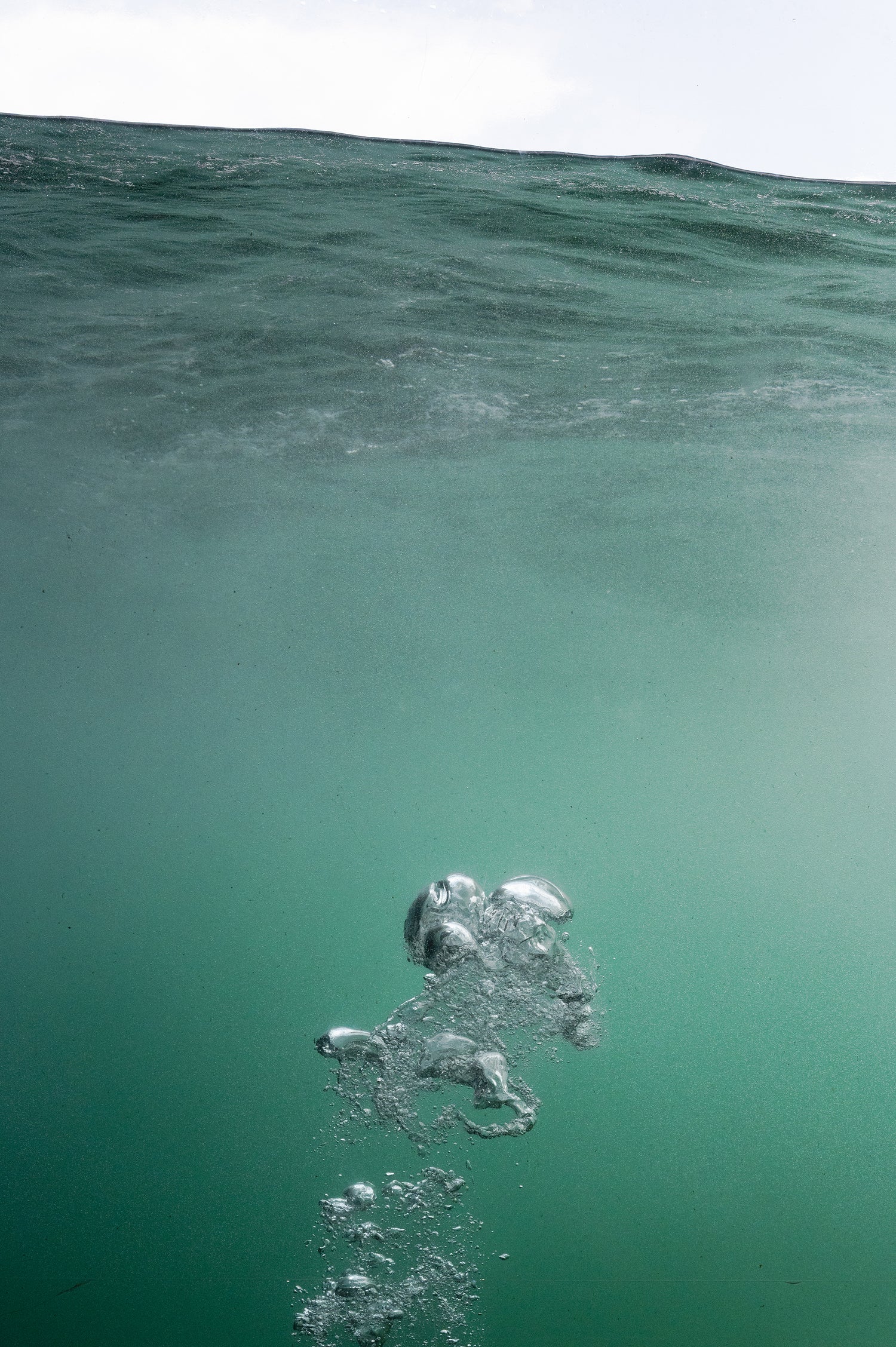 bubble N°7